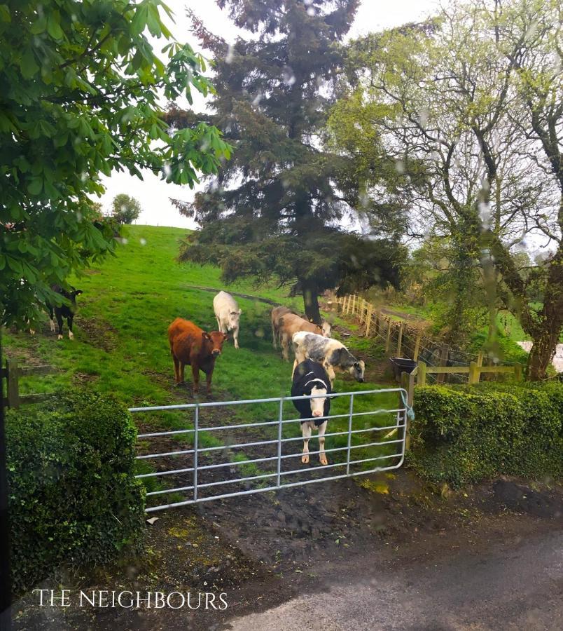 Cosy Stylish 1-bed In South Armagh Apartment Cullyhanna